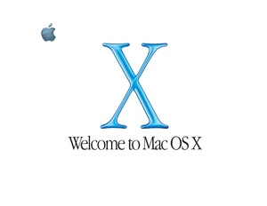 Welcome to Mac OS X (Cheetah).pdf